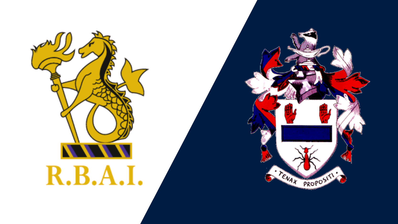 RBAI v Ballymena Academy