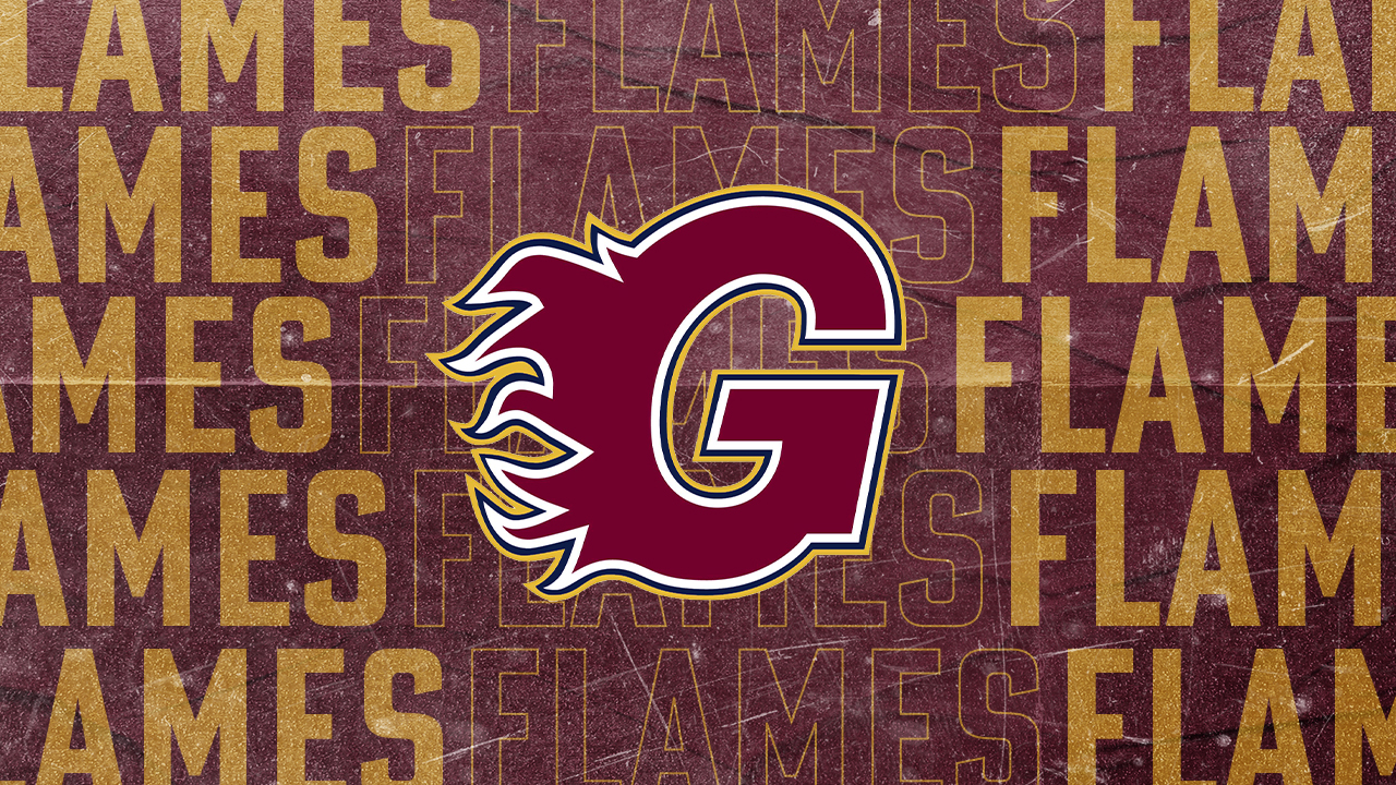 Belfast Giants v Guildford Flames