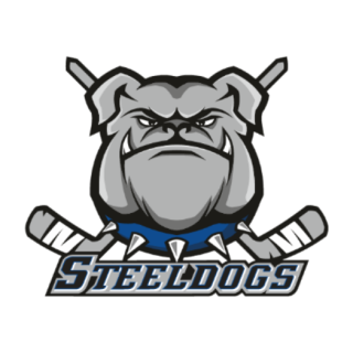 Sheffield Steeldogs