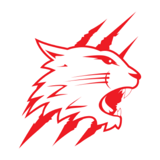 Swindon Wildcats