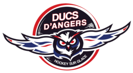 Angers Ducs logo