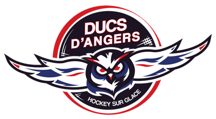 Angers Ducs